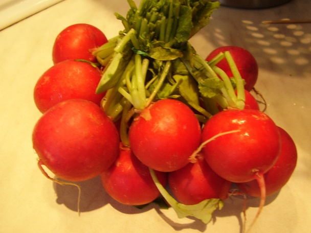 Feniklovo-redkvičkový šalát (fotorecept) - obrázok 2