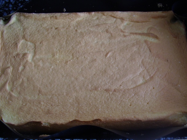 Jahodový mls - fotorecept - obrázok 7