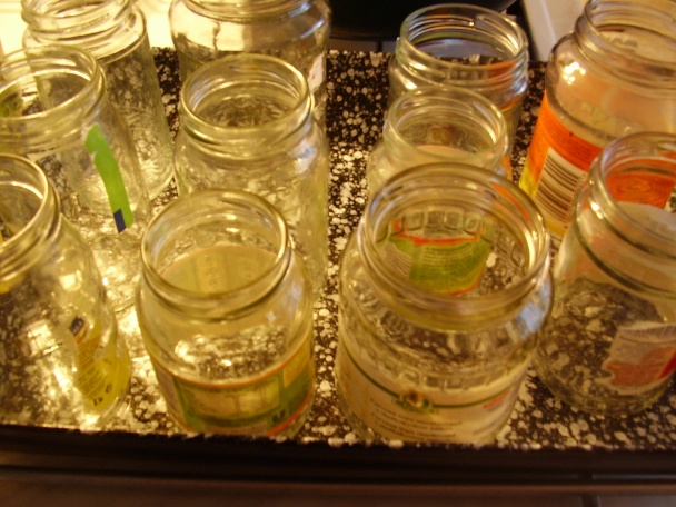 Jahodový džem (fotorecept) - obrázok 9