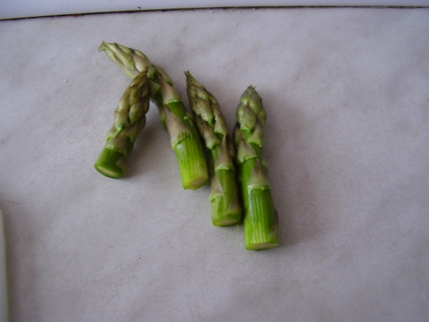 Brokolicové ragú (fotorecept) - obrázok 7