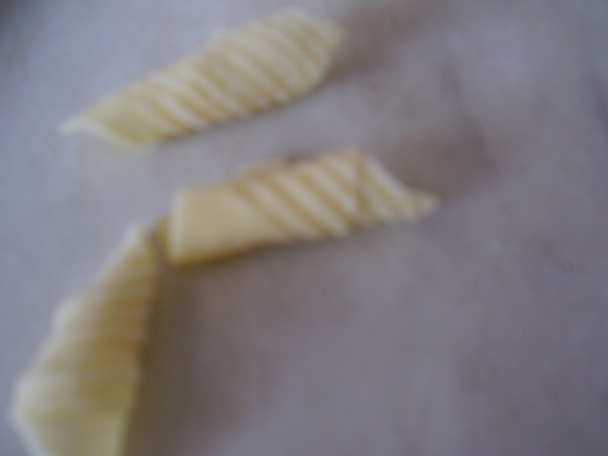 Gágoríky (fotorecept) - obrázok 11