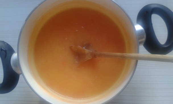 Pomarančový a grepový puding (fotorecept) - obrázok 6