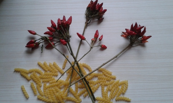 Cestoviny torti s hríbami a čili papričkami (fotorecept) - obrázok 2