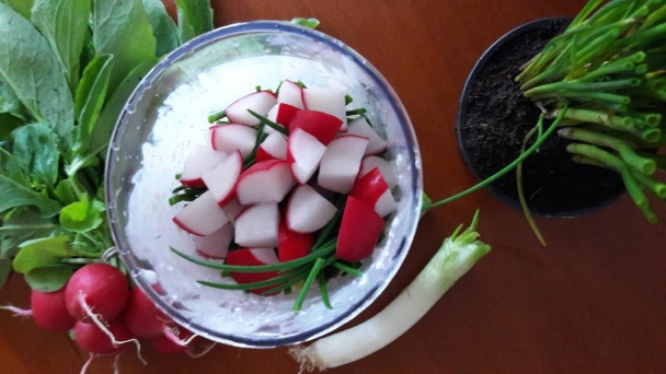 Tvarohová nátierka s reďkovkami (fotorecept) - obrázok 1