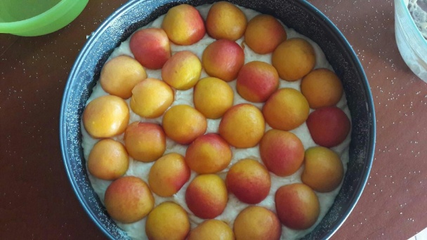 Kysnutý marhuľový koláč s mrveničkou (fotorecept) - obrázok 5