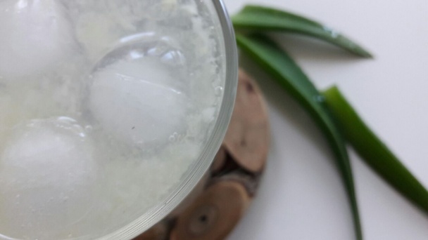 Citronáda s aloe vera - obrázok 2