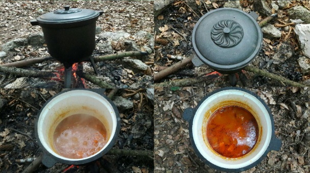 Hlivový guláš z lesa - obrázok 1