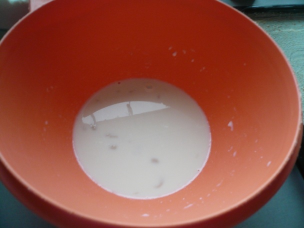 Gerbaud - žerbó (fotorecept) - obrázok 1