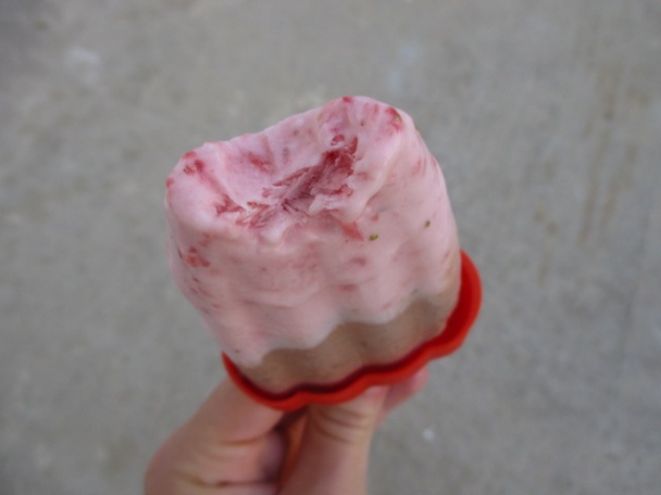 Jahodovo-čokoládový DUO nanuk (fotorecept) - obrázok 13