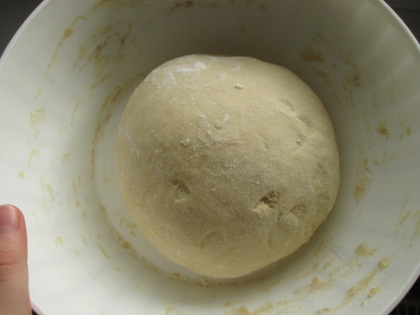 Kváskové škoricovníky, osie hniezda (fotorecept) - obrázok 1