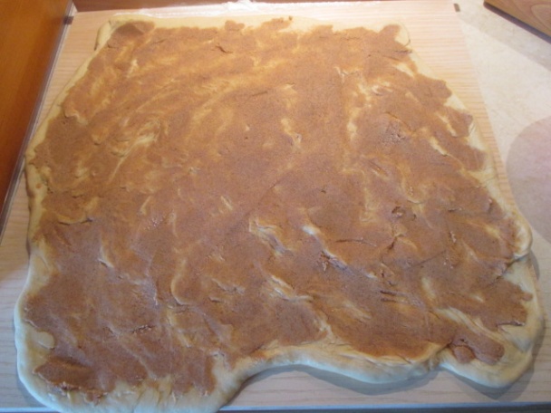 Kváskové škoricovníky, osie hniezda (fotorecept) - obrázok 3