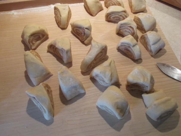 Kváskové škoricovníky, osie hniezda (fotorecept) - obrázok 4