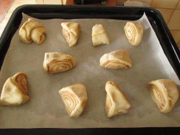 Kváskové škoricovníky, osie hniezda (fotorecept) - obrázok 5