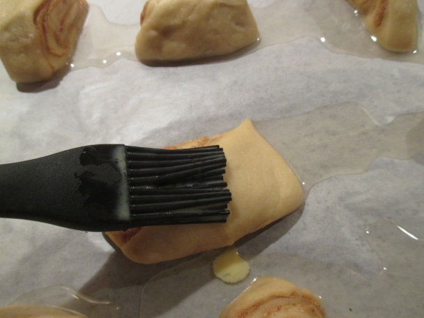 Kváskové škoricovníky, osie hniezda (fotorecept) - obrázok 7