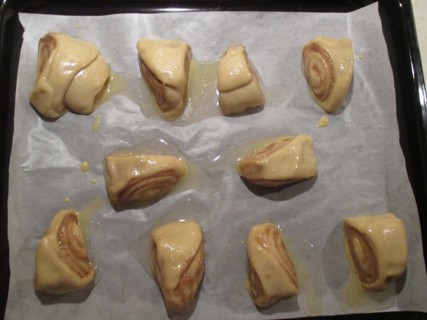 Kváskové škoricovníky, osie hniezda (fotorecept) - obrázok 8