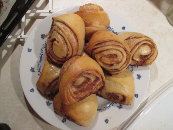 Kváskové škoricovníky, osie hniezda (fotorecept) - obrázok 9