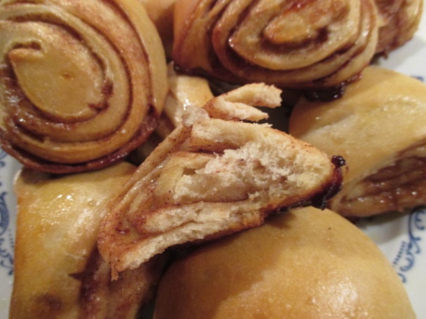 Kváskové škoricovníky, osie hniezda (fotorecept) - obrázok 10