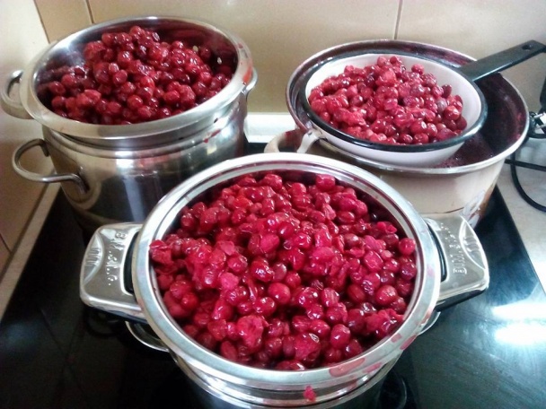 Drienkový lekvárik starej mamy (fotorecept) - obrázok 3