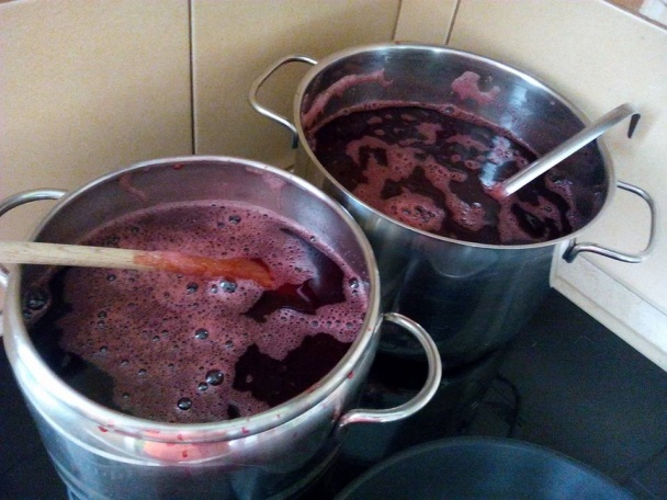 Drienkový lekvárik starej mamy (fotorecept) - obrázok 4