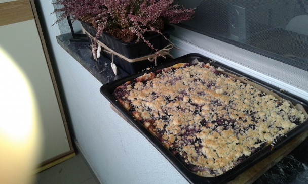 Čučoriedkový cheesecake rez s posýpkou (fotorecept) - obrázok 9