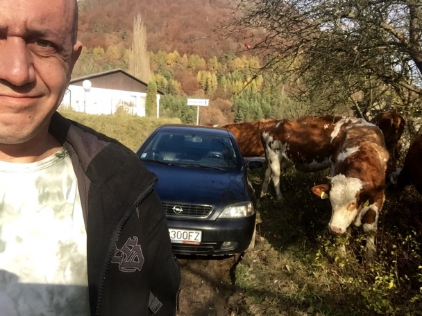 Španielske vtáčky na pokémonský spôsob (fotorecept) - obrázok 1