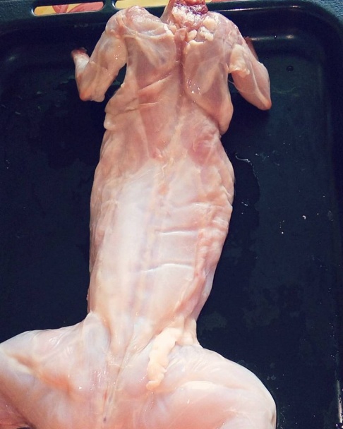 Pečený králik - obrázok 1