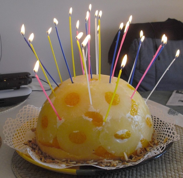 Ananásová kupola - obrázok 10