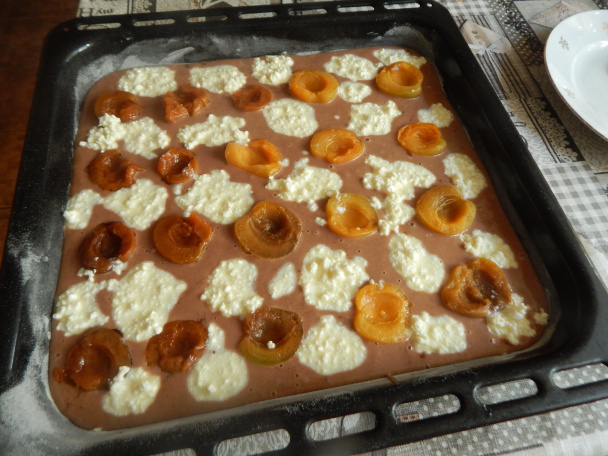 Hrnčekový koláč s marhuľami a tvarohom - obrázok 1