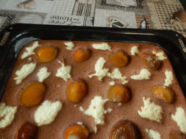 Hrnčekový koláč s marhuľami a tvarohom - obrázok 2