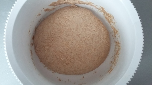 Špaldové celozrnné kváskové bagle (fotorecept) - obrázok 2