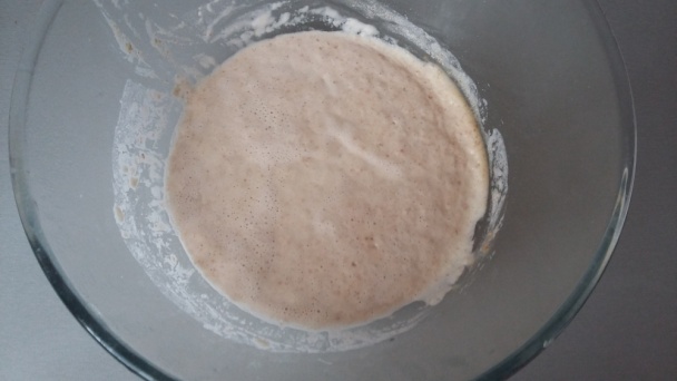 Hamburgerové žemle zo špaldovej múky - kváskové (fotorecept) - obrázok 1