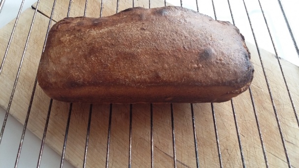 Perfektný kváskový špaldový toastový chlieb (fotorecept) - obrázok 10