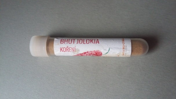 Kura na mexický spôsob (fotorecept) - obrázok 4