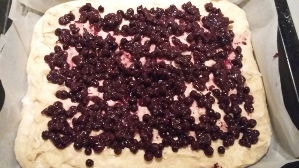 Starkin čučoriedkový koláč (fotorecept) - obrázok 8
