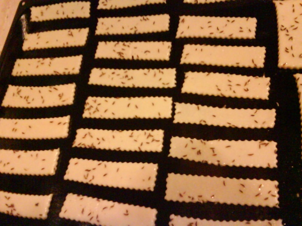 Falošné lístkové cesto (fotorecept) - obrázok 3