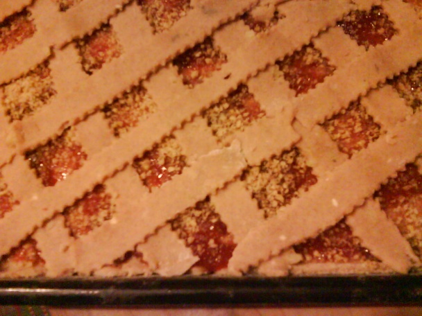 Zemiakový mrežovník (fotorecept) - obrázok 3
