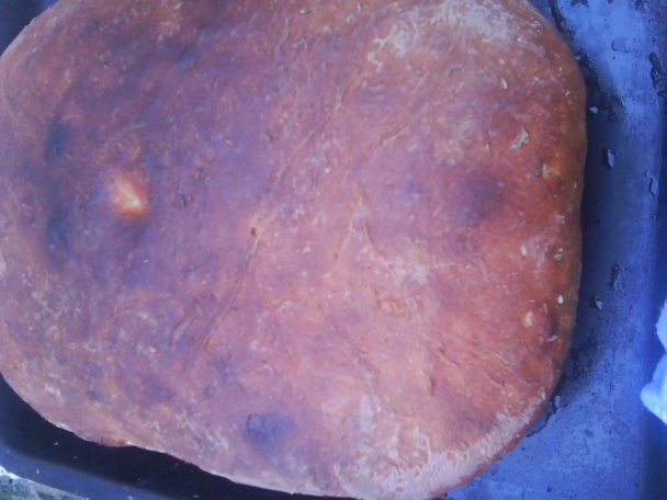 Domáci zemiakový chlieb (fotorecept) - obrázok 6