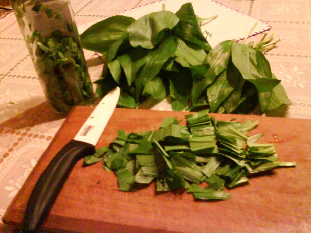 Medvedí cesnak ako liek (fotorecept) - obrázok 2