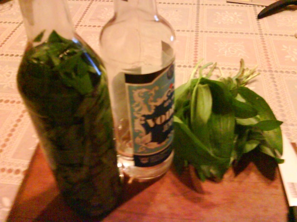 Medvedí cesnak ako liek (fotorecept) - obrázok 3