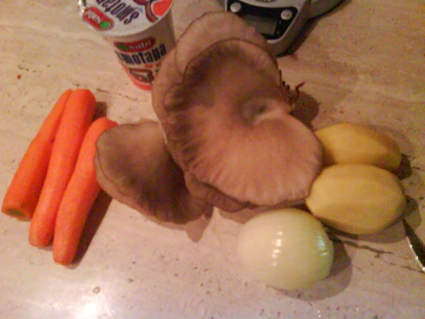 Hlivový perkelt s mrkvou (fotorecept) - obrázok 2