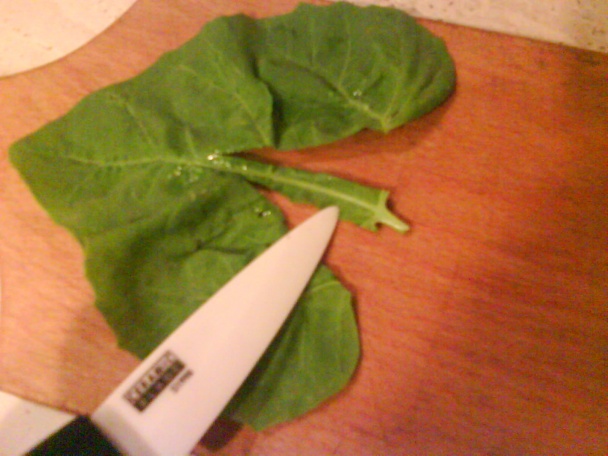 Špenátové halušky so syrom a mrkvou (fotorecept) - obrázok 2