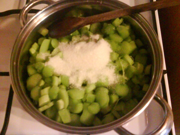 Rebarborový krémeš (fotorecept) - obrázok 5