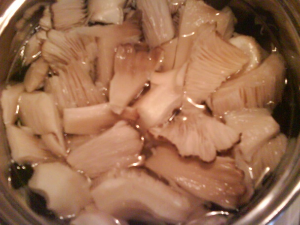 Žemľovka s hubami (fotorecept) - obrázok 1