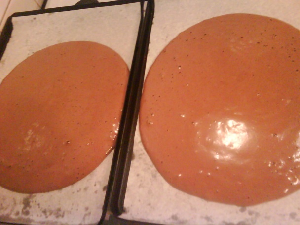 Kakaovo - šľahačkové rezy. (fotorecept) - obrázok 7