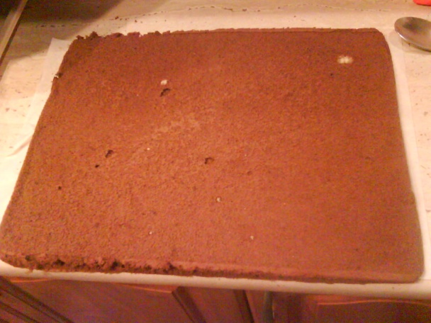 Kakaovo - šľahačkové rezy. (fotorecept) - obrázok 8