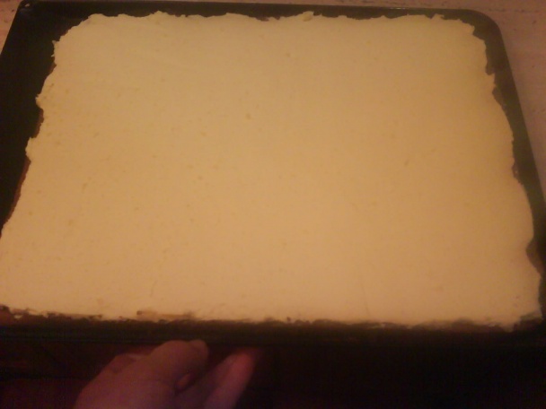 Kakaovo - šľahačkové rezy. (fotorecept) - obrázok 11