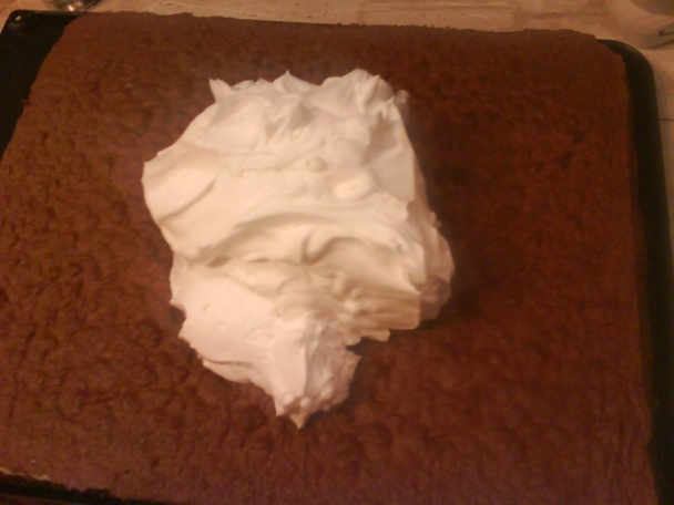 Kakaovo - šľahačkové rezy. (fotorecept) - obrázok 13