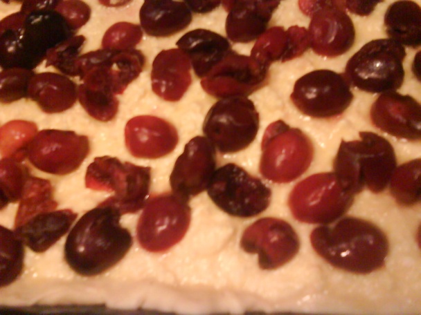 Buchta s tvarohom a s čerešňami (fotorecept) - obrázok 7