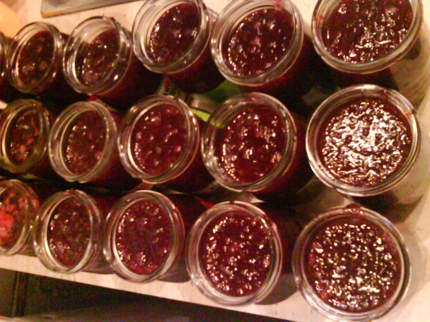 Džem i lekvár z čerešní (fotorecept) - obrázok 6