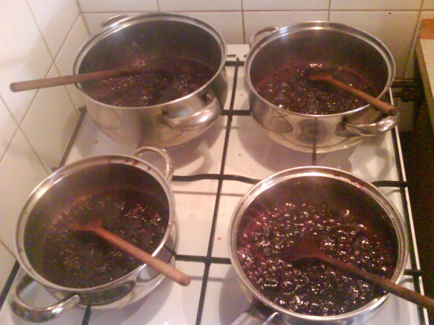 Džem i lekvár z čerešní (fotorecept) - obrázok 9